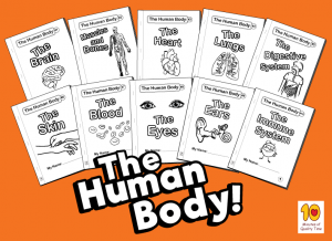 The-Human-body